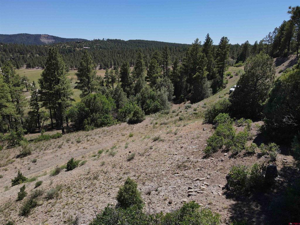 361 Chamisa Place Pagosa Springs CO 81147