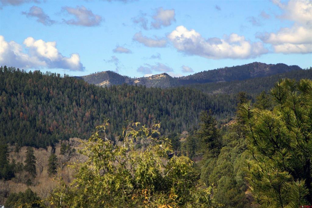 Pagosa Springs CO, 2519 County Road 335