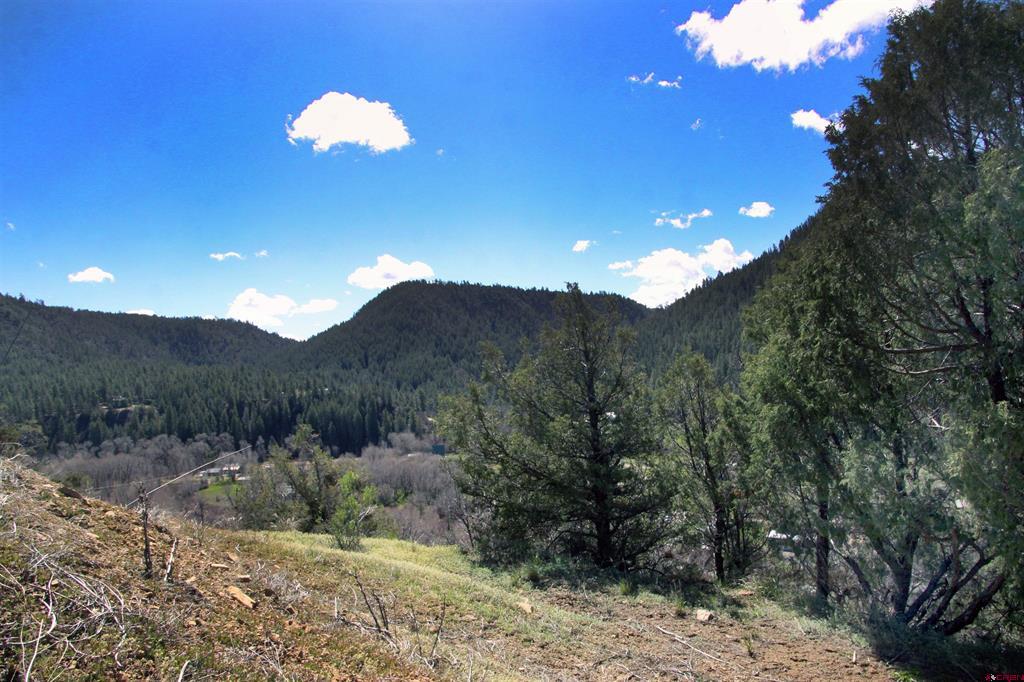 2519 County Road 335 Pagosa Springs CO 81147
