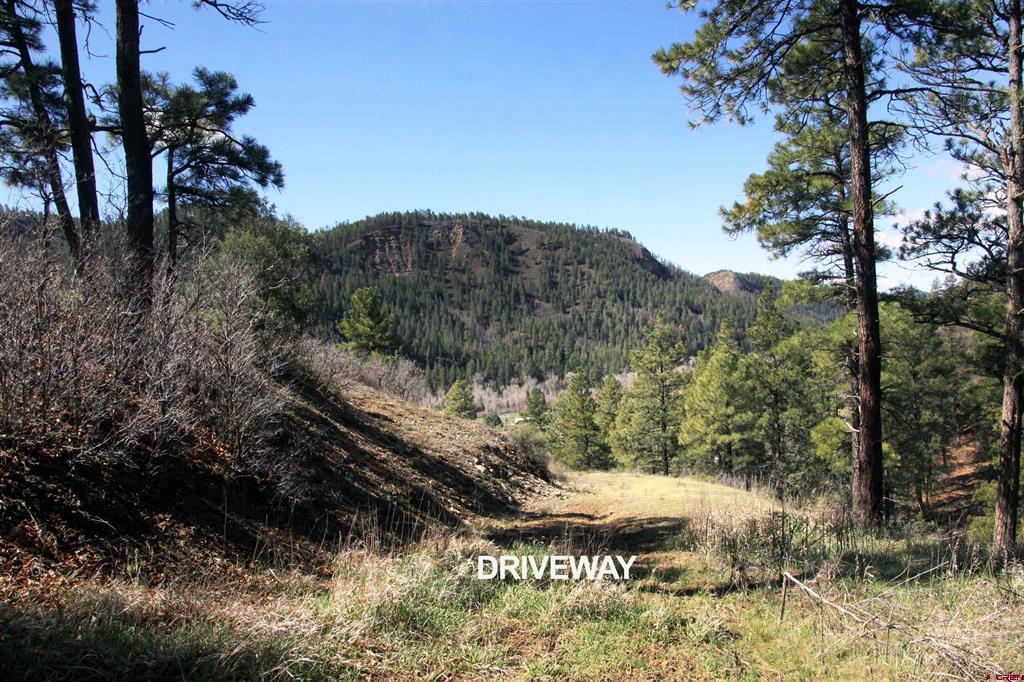 2519 County Road 335 Pagosa Springs CO 81147