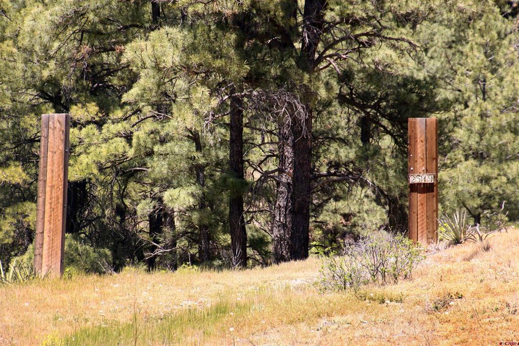 2519 County Road 335 Pagosa Springs CO 81147