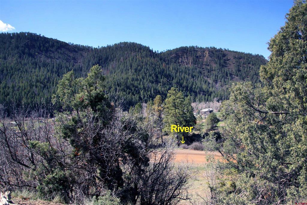 2519 County Road 335 Pagosa Springs CO 81147