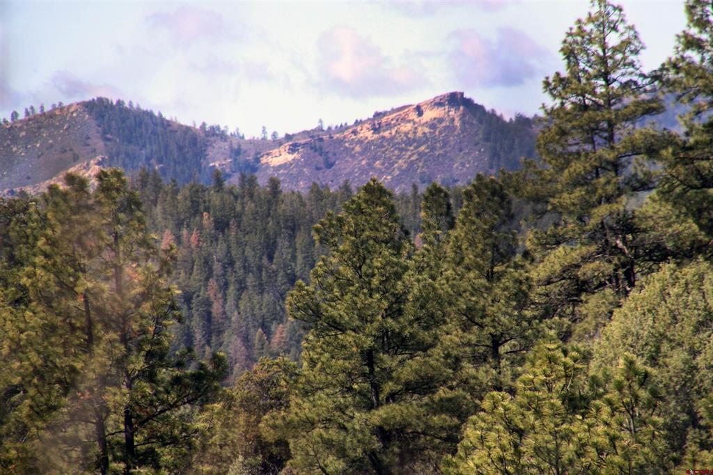 2519 County Road 335 Pagosa Springs CO 81147