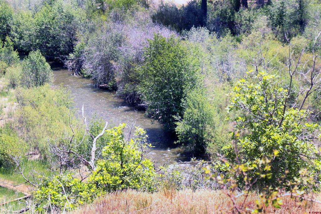 2519 County Road 335 Pagosa Springs CO 81147
