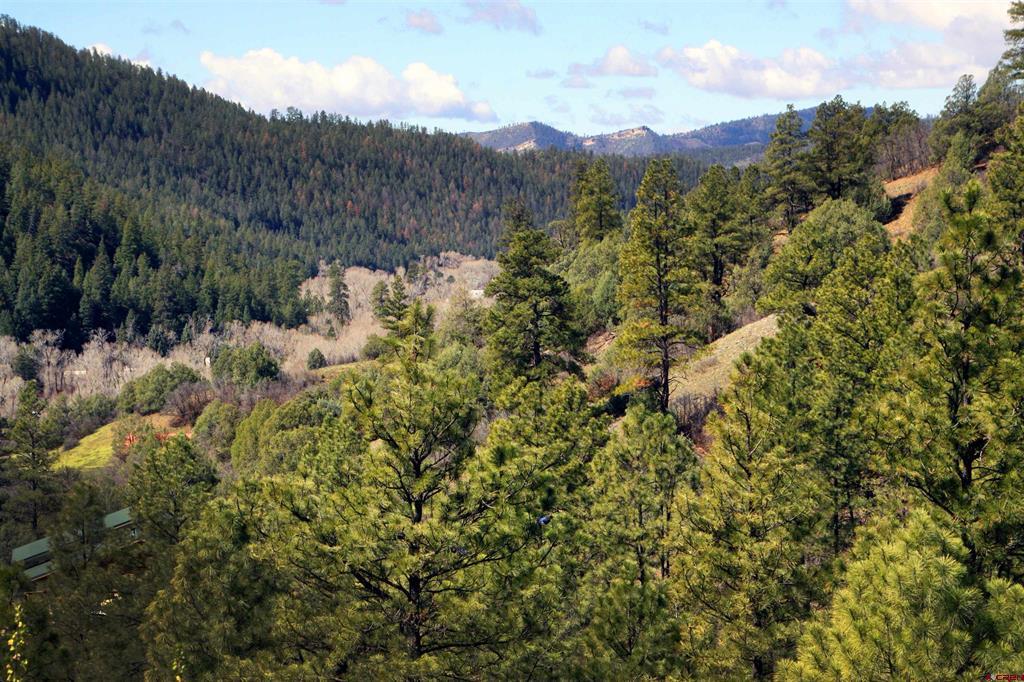 2519 County Road 335 Pagosa Springs CO 81147