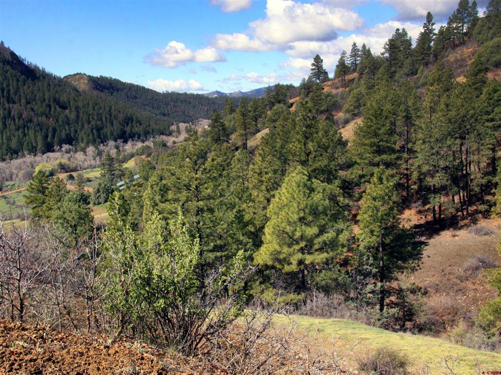 2519 County Road 335 Pagosa Springs CO 81147