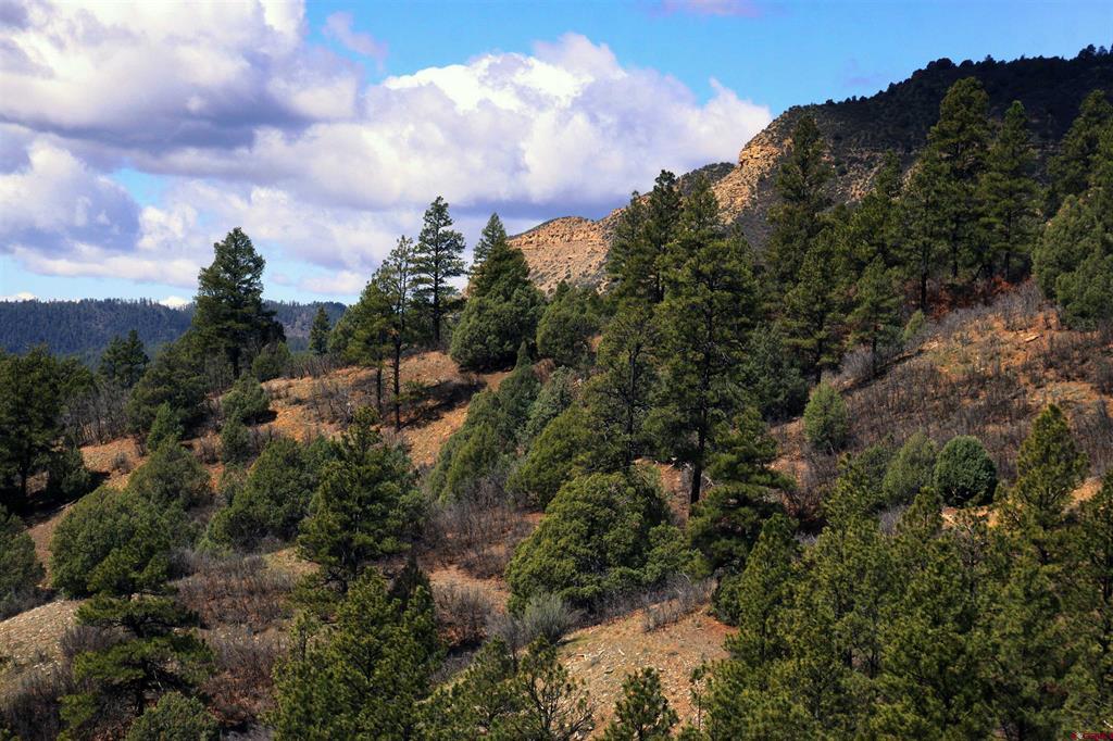 2519 County Road 335 Pagosa Springs CO 81147