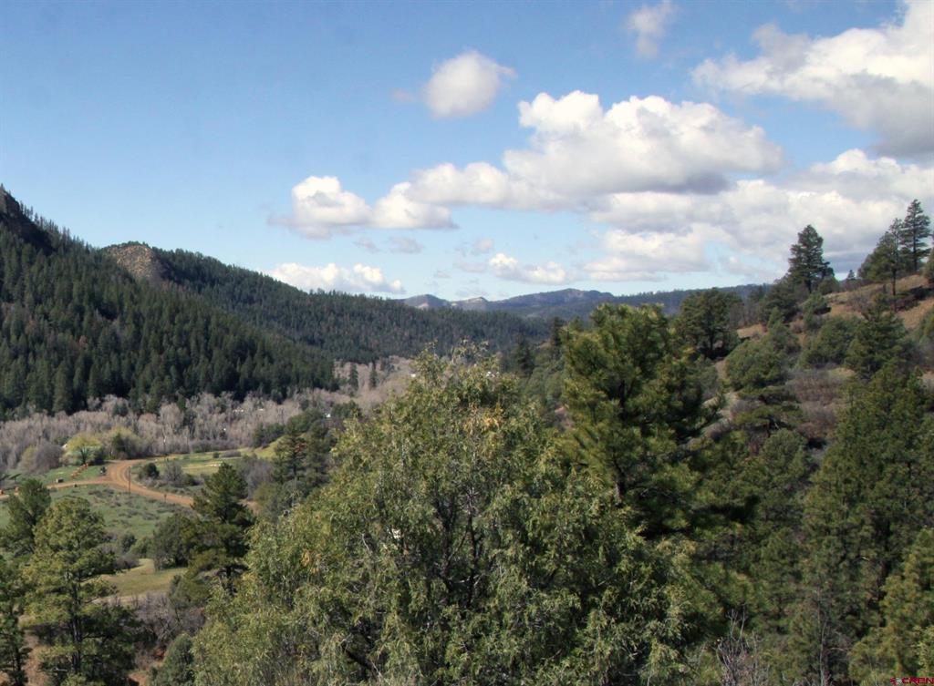 2519 County Road 335 Pagosa Springs CO 81147