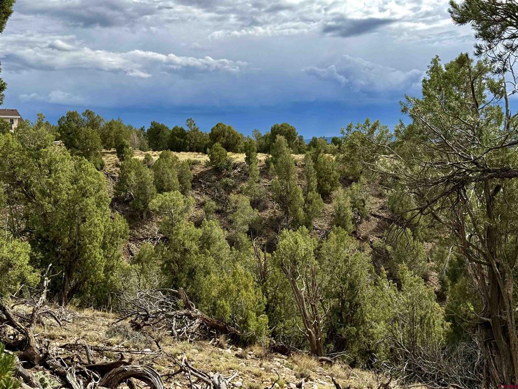2647 Wrangler Way Durango CO 81301