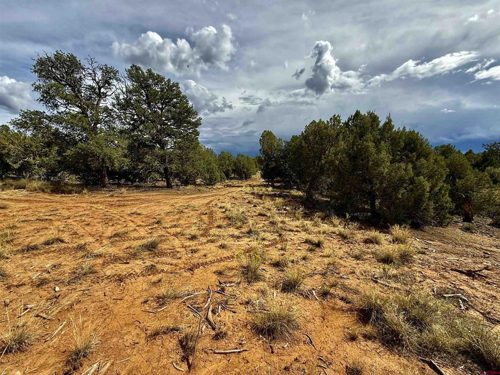 2647 Wrangler Way Durango CO 81301