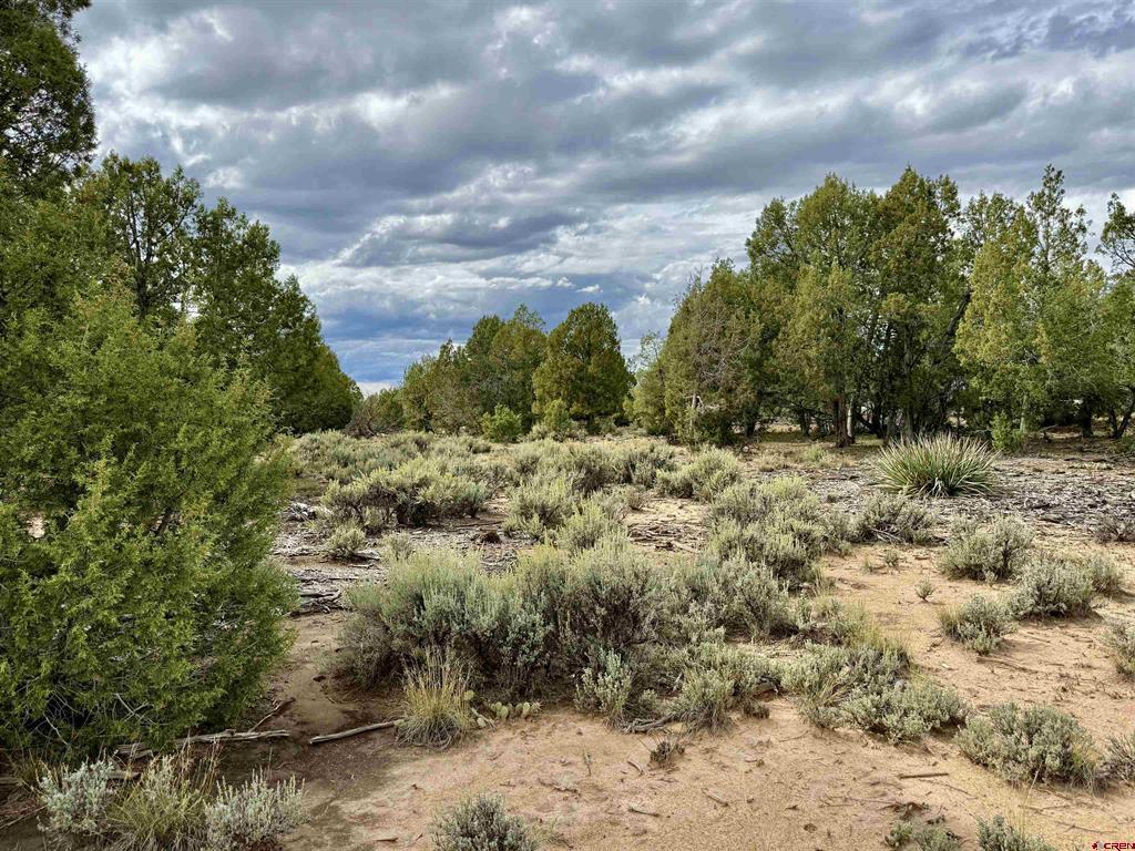 2647 Wrangler Way Durango CO 81301