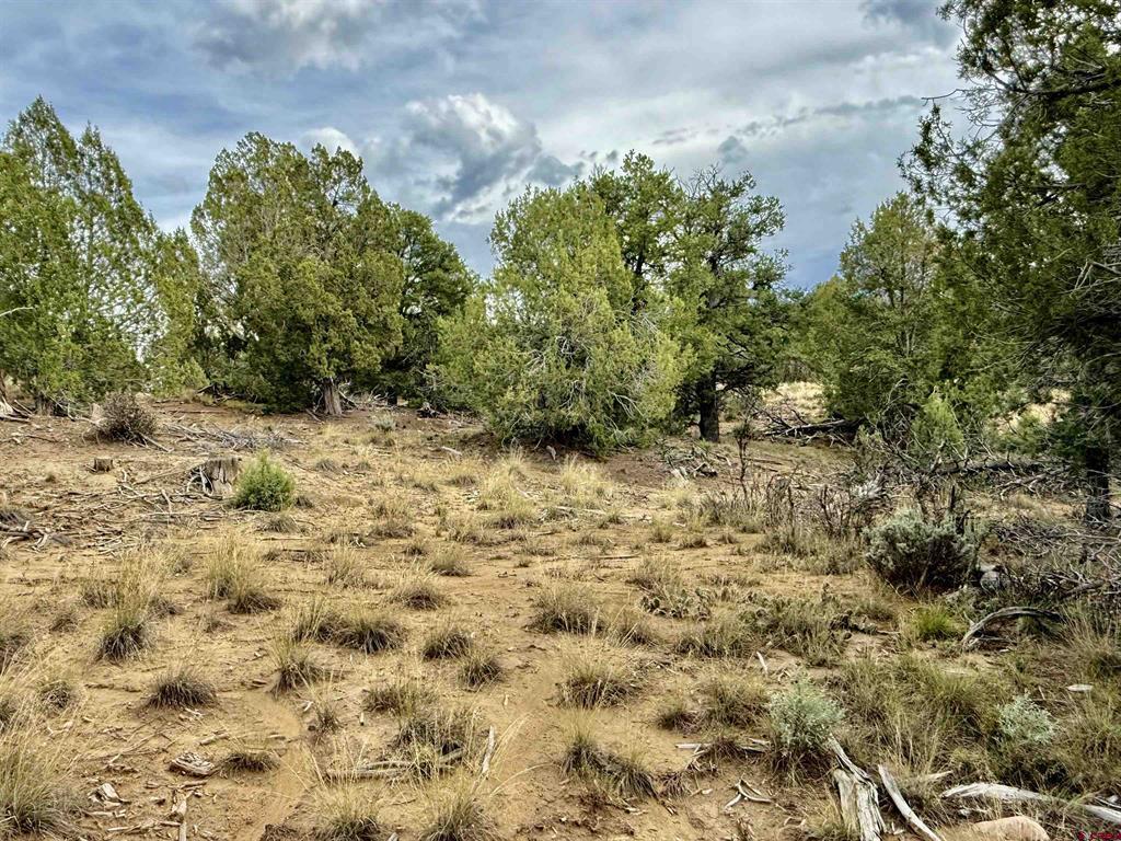 2647 Wrangler Way Durango CO 81301