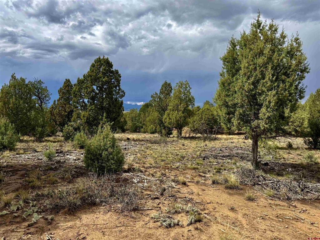 2647 Wrangler Way Durango CO 81301