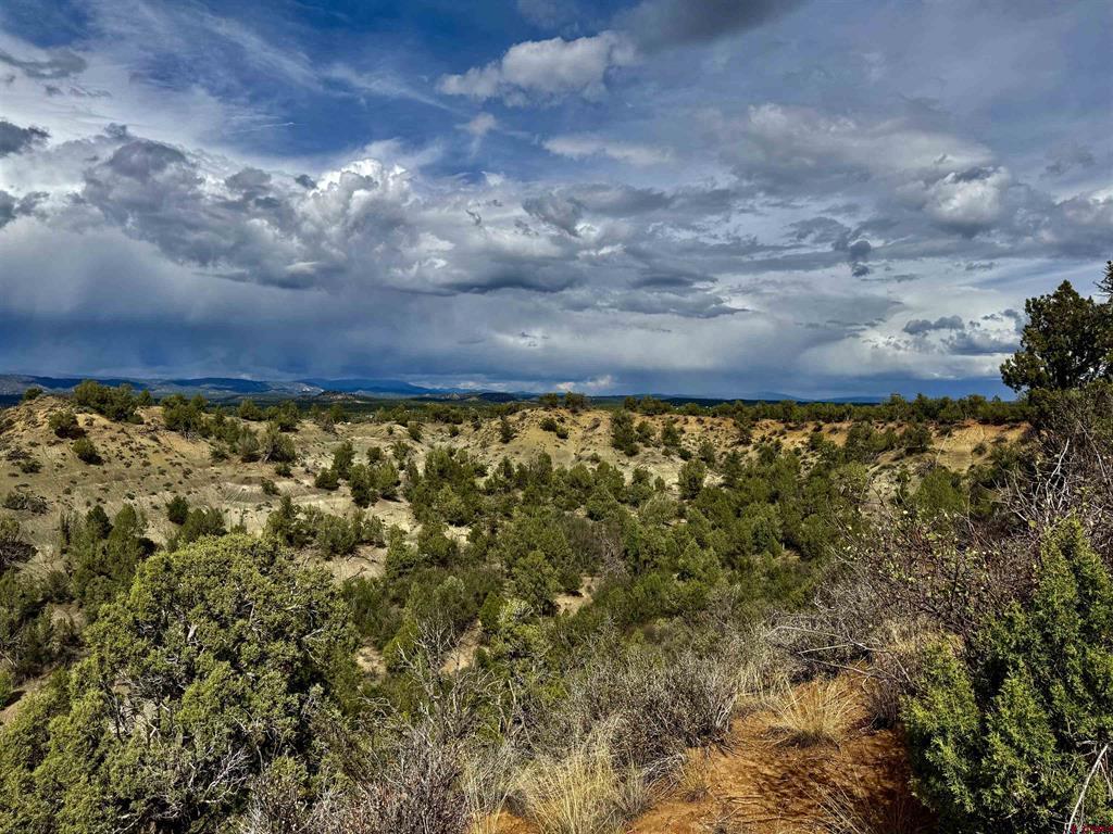 2647 Wrangler Way Durango CO 81301
