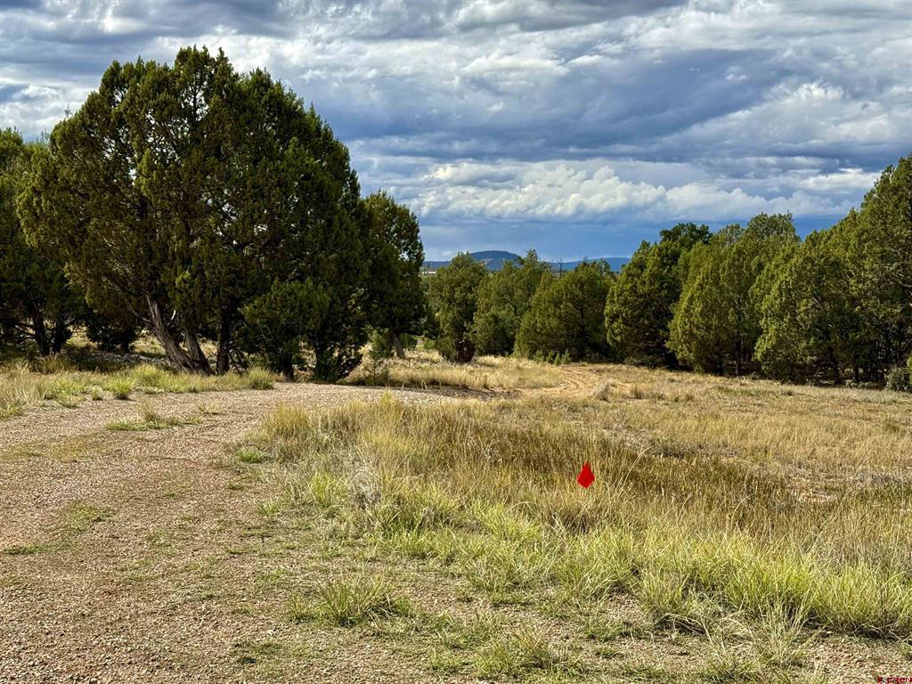 2647 Wrangler Way Durango CO 81301