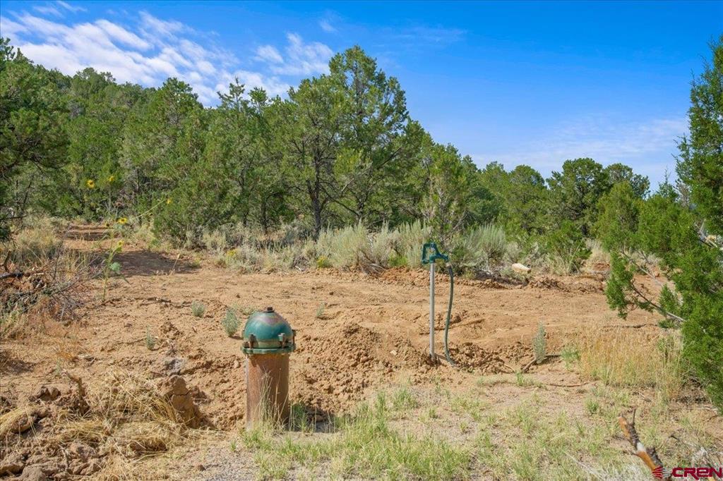 267 County Road 1e Montrose CO 81403
