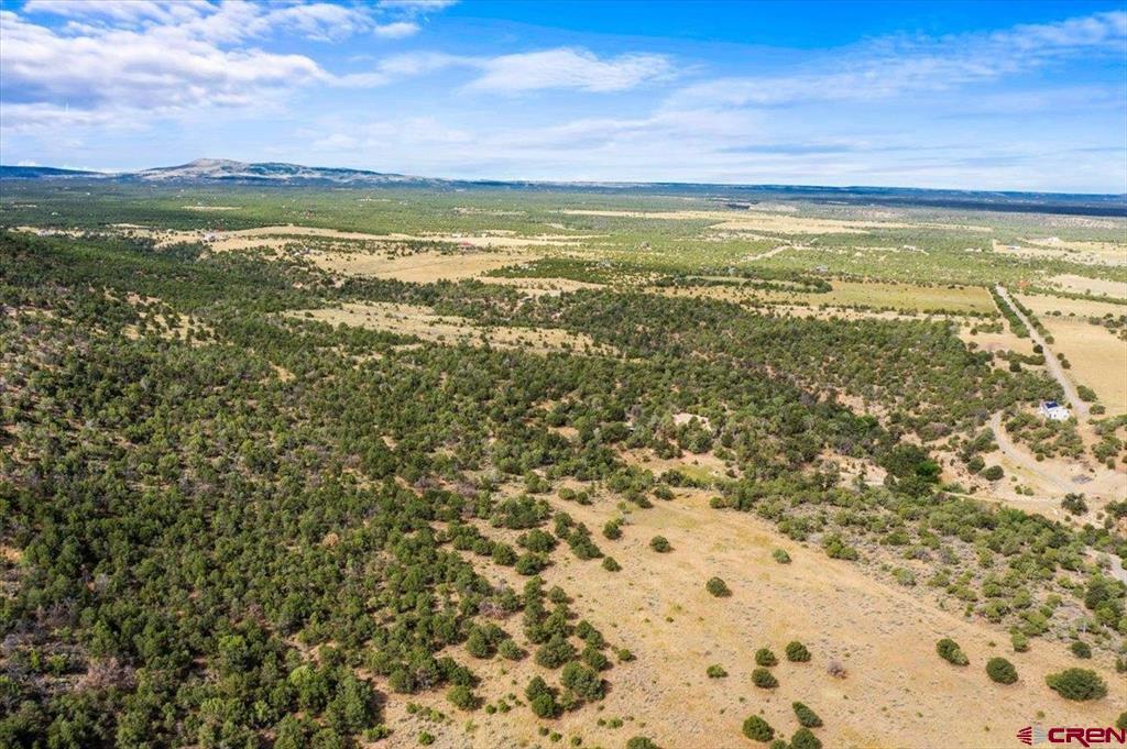 267 County Road 1e Montrose CO 81403