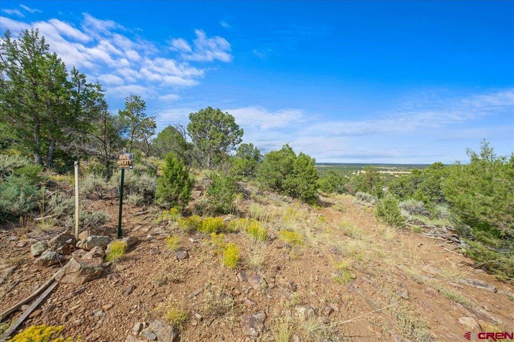 267 County Road 1e Montrose CO 81403