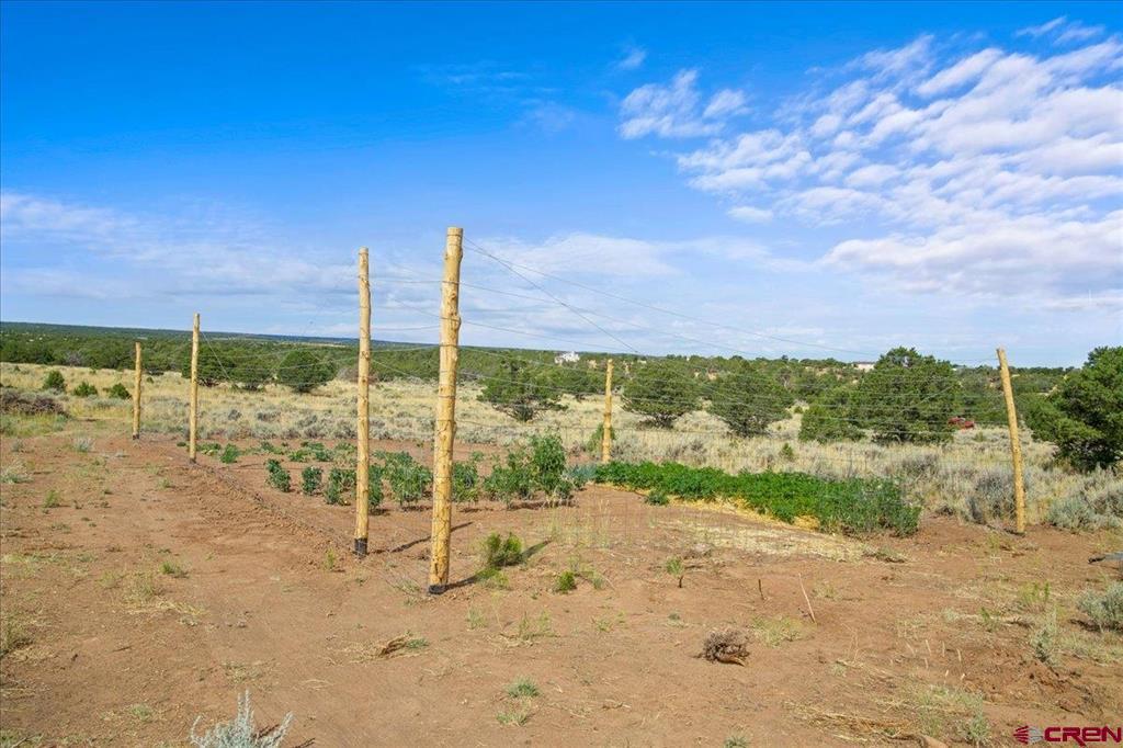 267 County Road 1e Montrose CO 81403