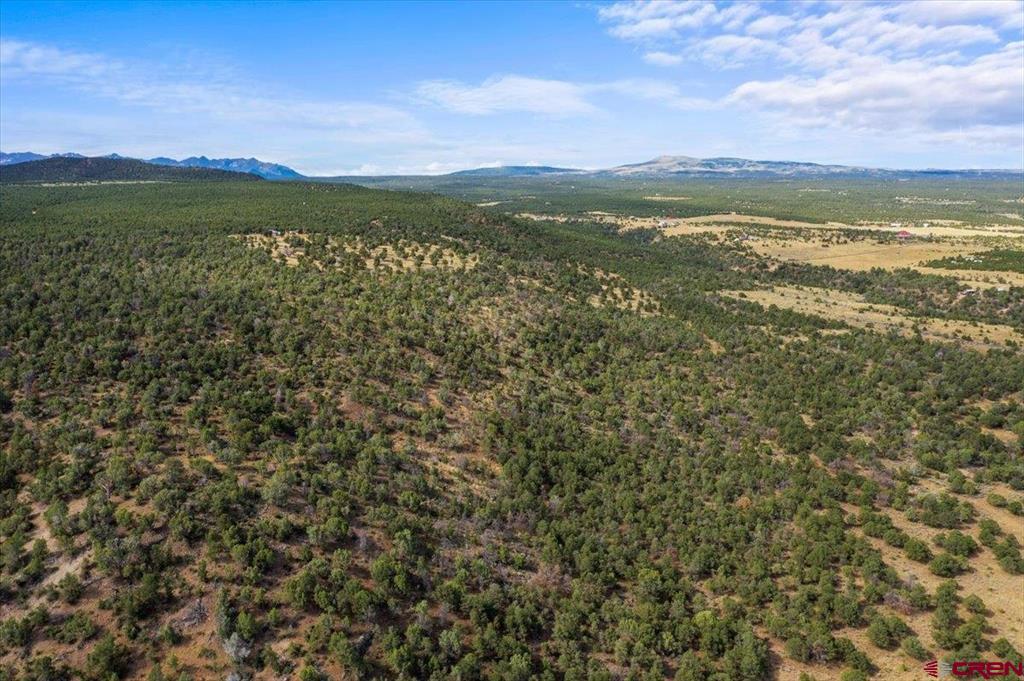 267 County Road 1e Montrose CO 81403