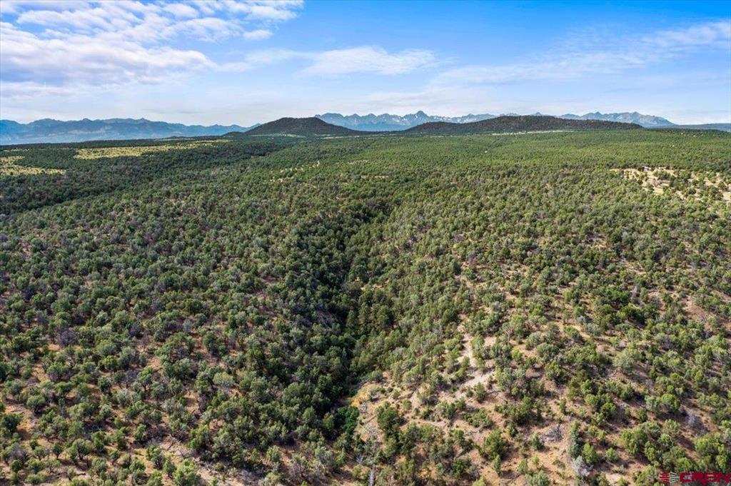 267 County Road 1e Montrose CO 81403