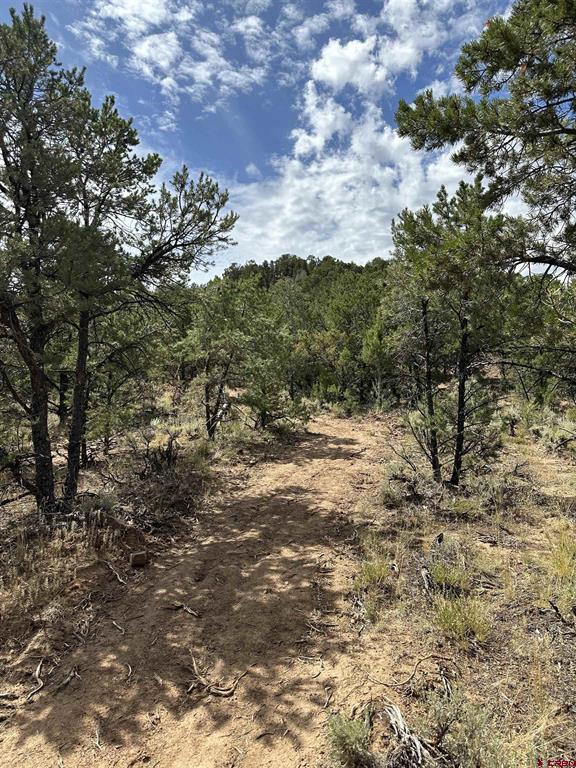 267 County Road 1e Montrose CO 81403