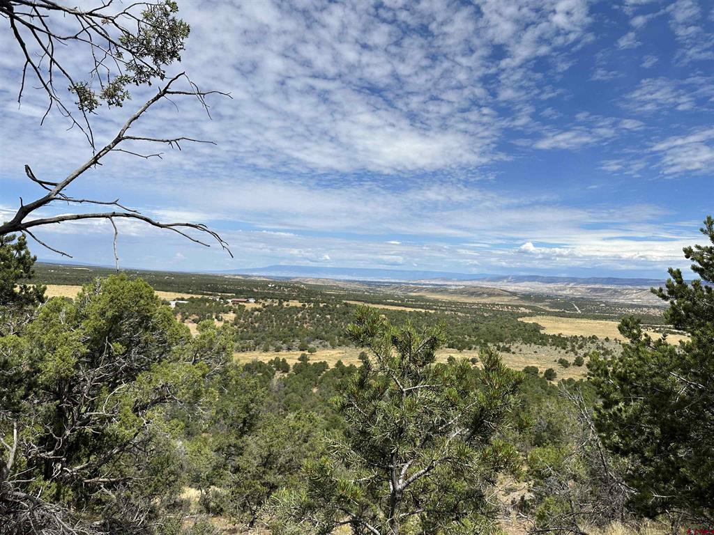 267 County Road 1e Montrose CO 81403