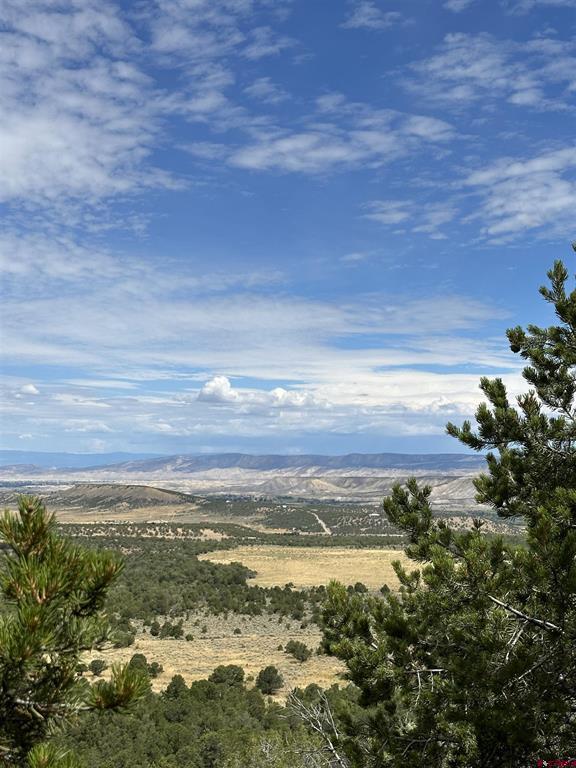 267 County Road 1e Montrose CO 81403