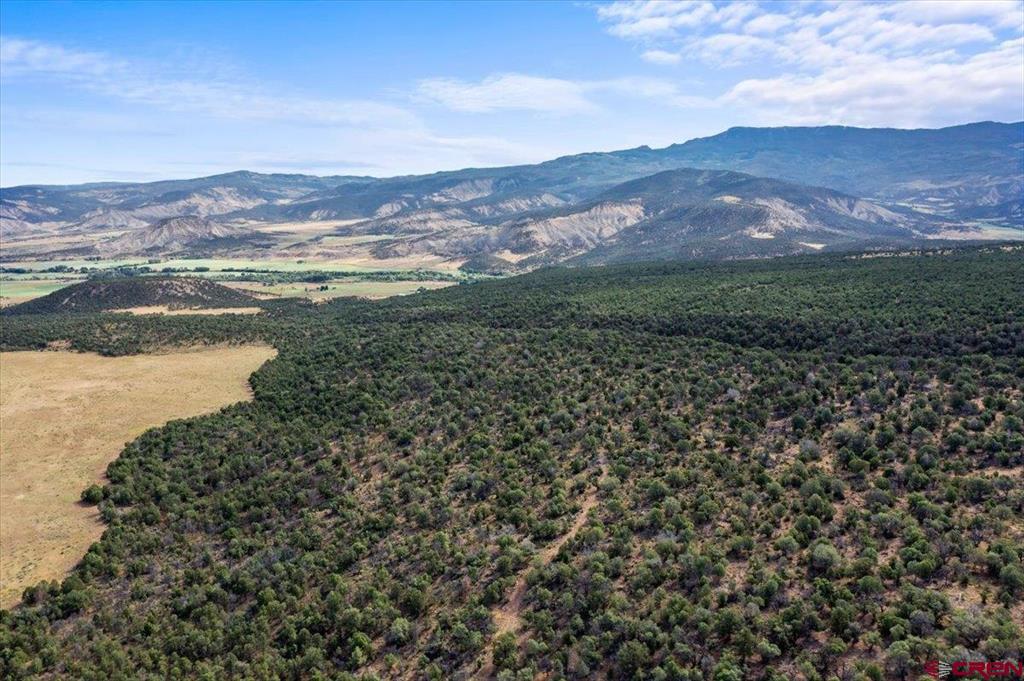 267 County Road 1e Montrose CO 81403