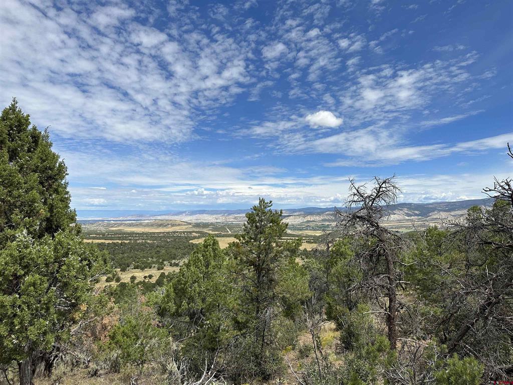 267 County Road 1e Montrose CO 81403