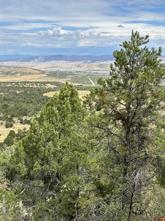 267 County Road 1e Montrose CO 81403