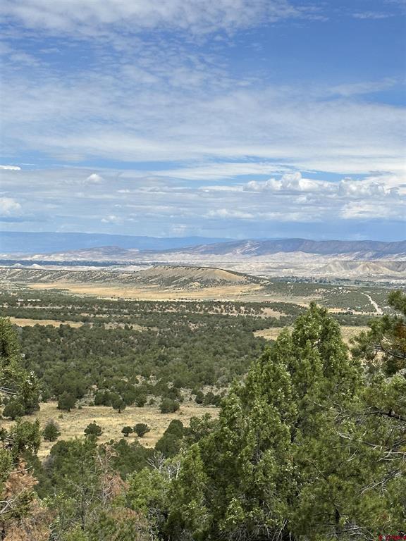 267 County Road 1e Montrose CO 81403