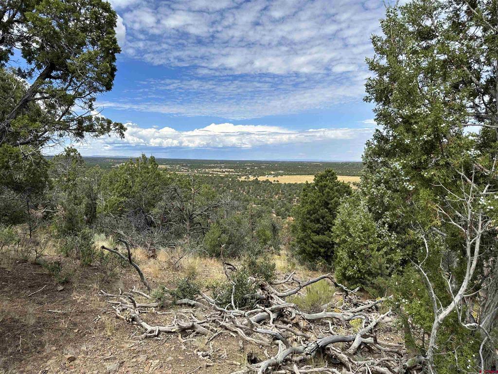 267 County Road 1e Montrose CO 81403