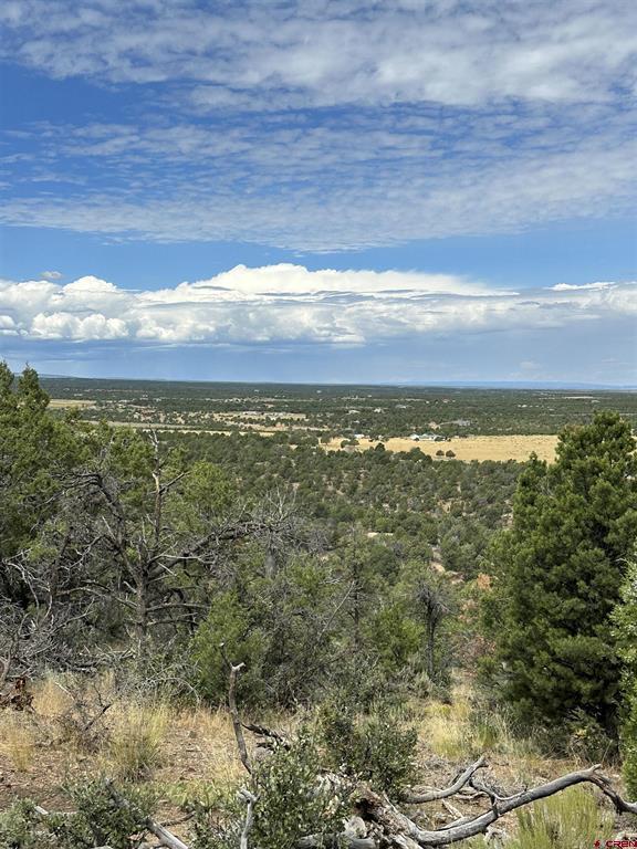 267 County Road 1e Montrose CO 81403