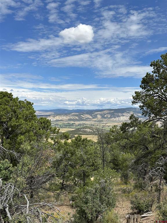267 County Road 1e Montrose CO 81403
