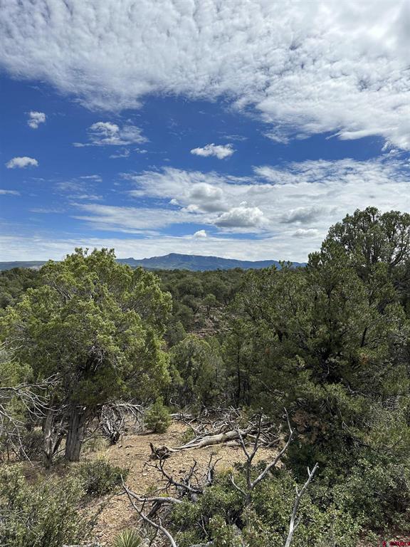 267 County Road 1e Montrose CO 81403