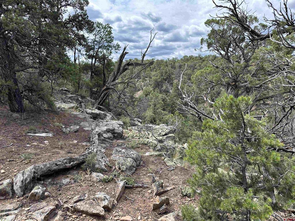 267 County Road 1e Montrose CO 81403