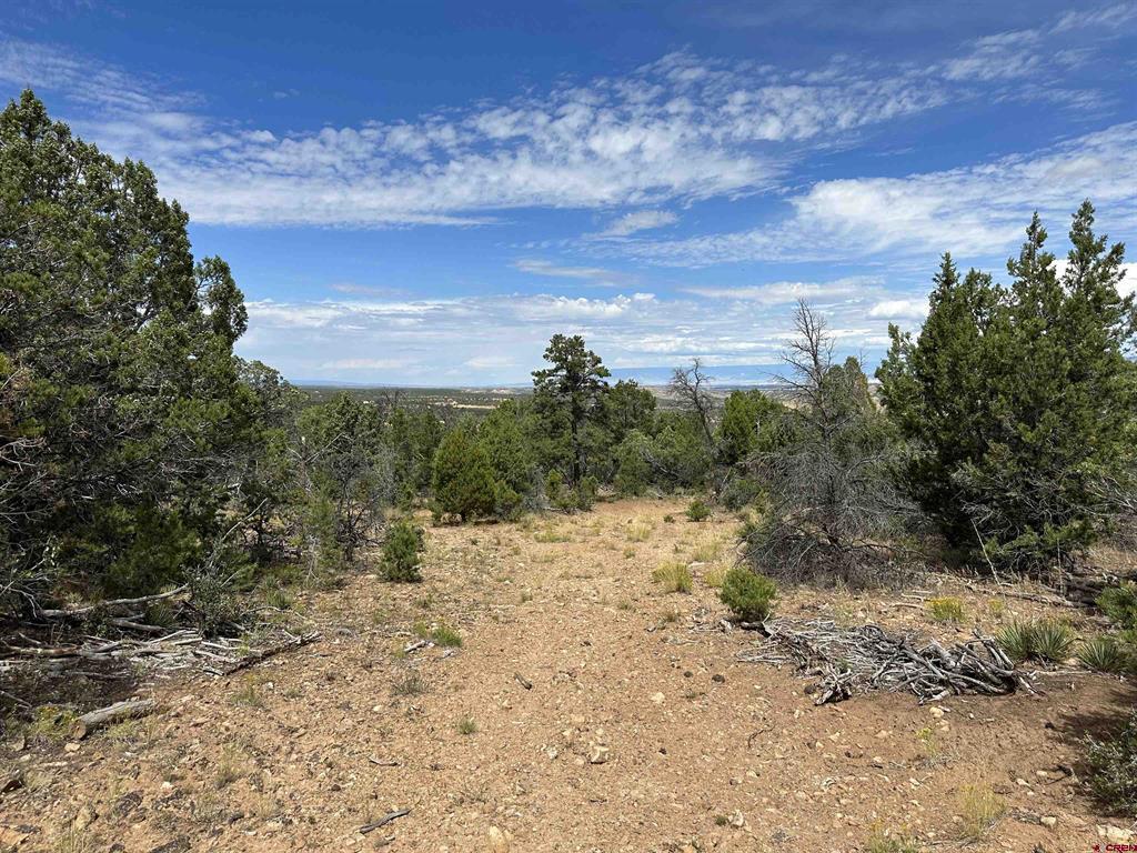 267 County Road 1e Montrose CO 81403