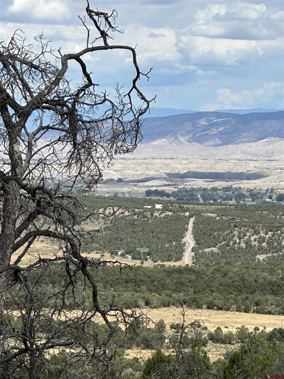 267 County Road 1e Montrose CO 81403