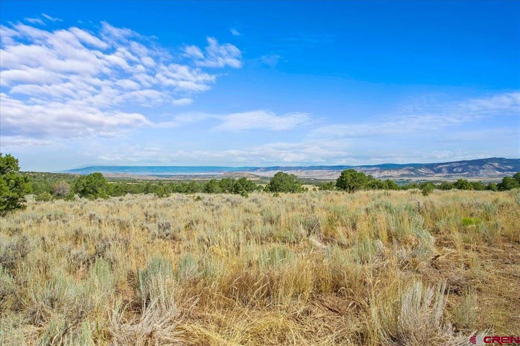 267 County Road 1e Montrose CO 81403