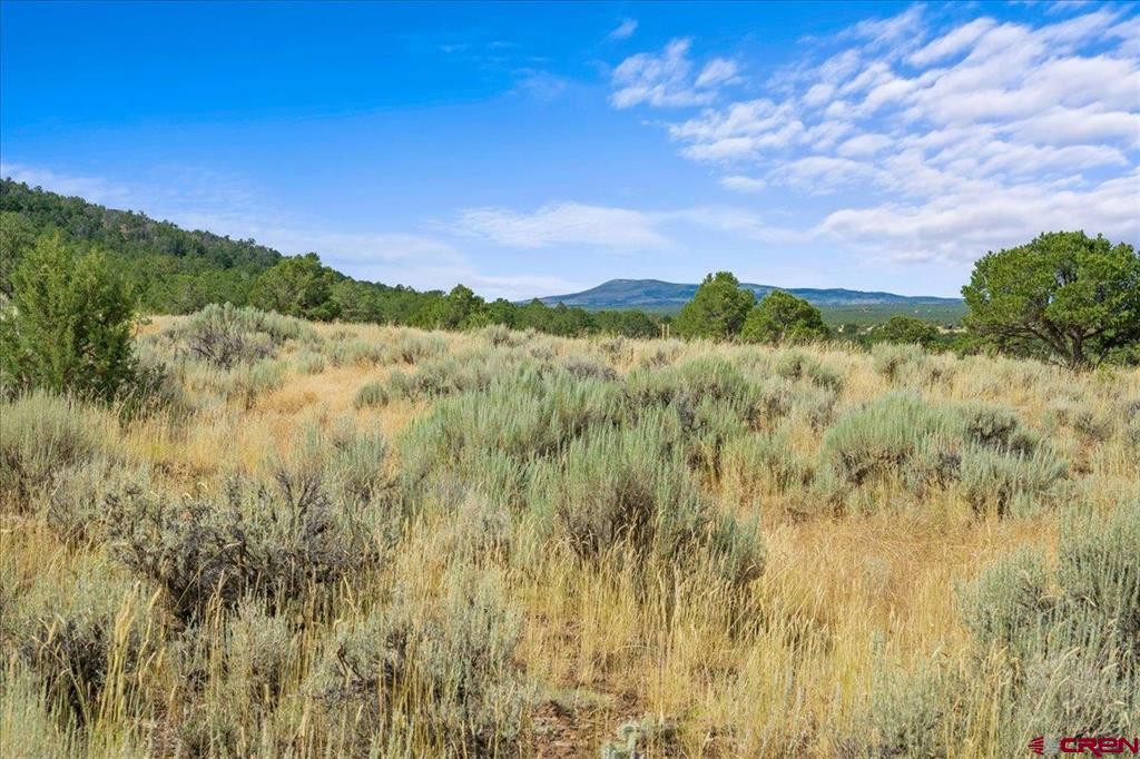 267 County Road 1e Montrose CO 81403