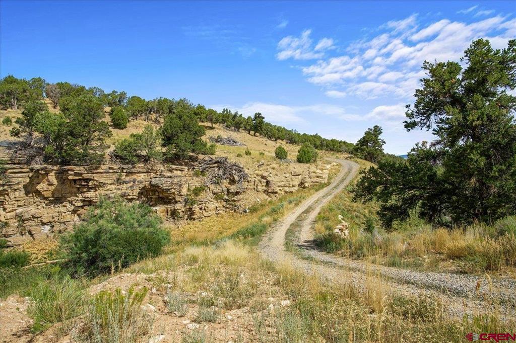 267 County Road 1e Montrose CO 81403