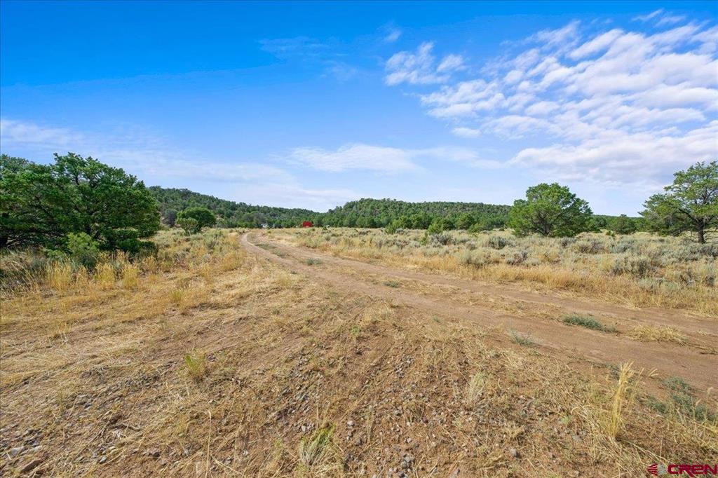 267 County Road 1e Montrose CO 81403