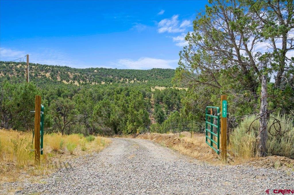 267 County Road 1e Montrose CO 81403