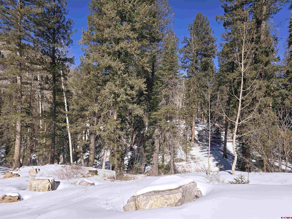 331 Beaver Circle Durango CO 81301