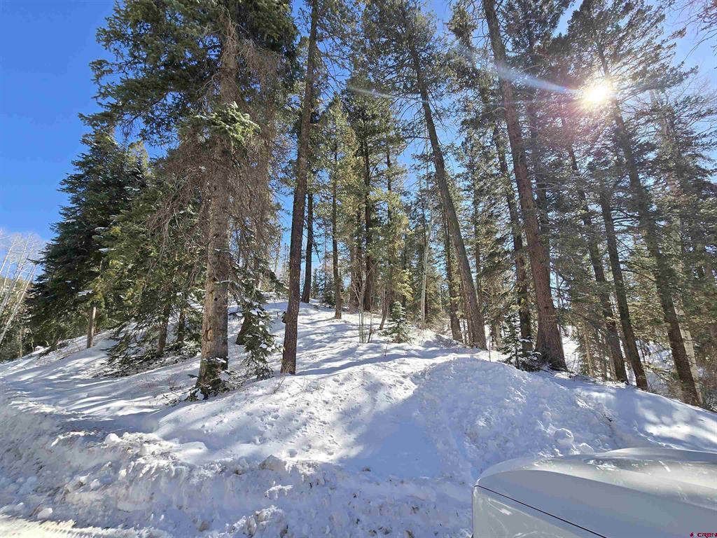 331 Beaver Circle Durango CO 81301