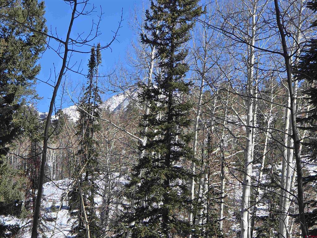 331 Beaver Circle Durango CO 81301