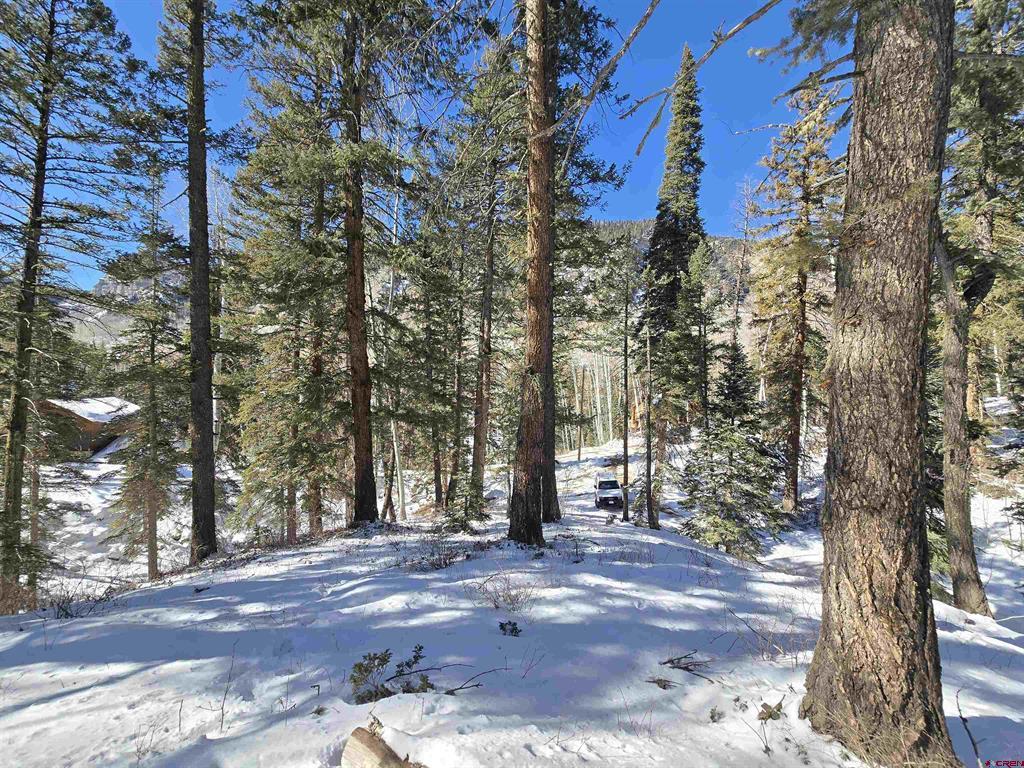 331 Beaver Circle Durango CO 81301