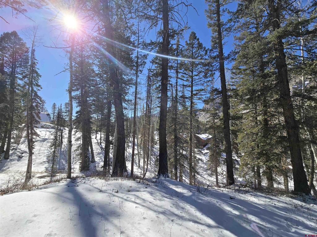 331 Beaver Circle Durango CO 81301