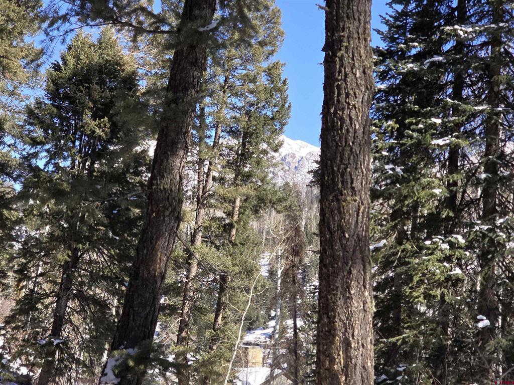 331 Beaver Circle Durango CO 81301